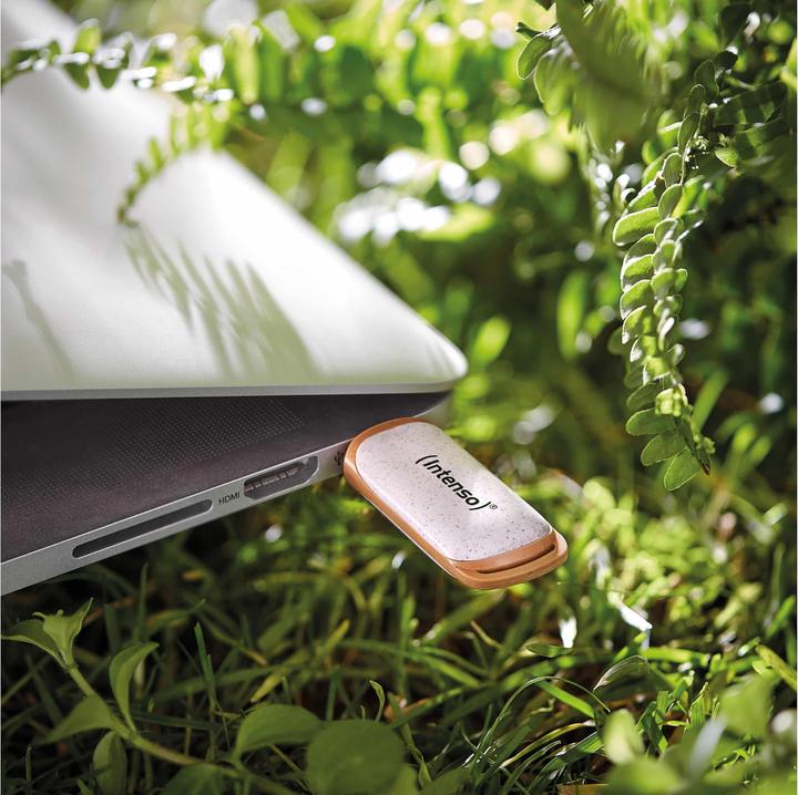 Actual product image Intenso Green Line (128 GB, USB-A)