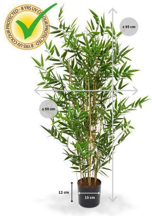 Image du produit Botanic-Haus Bambou japonais (95 cm)