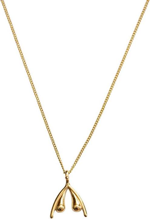Womanizer Clitoris (Gold, 52 cm)