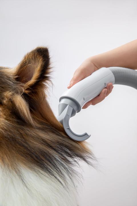Produktbild HomeRunPet Haustierföhn PD10 (Hund)