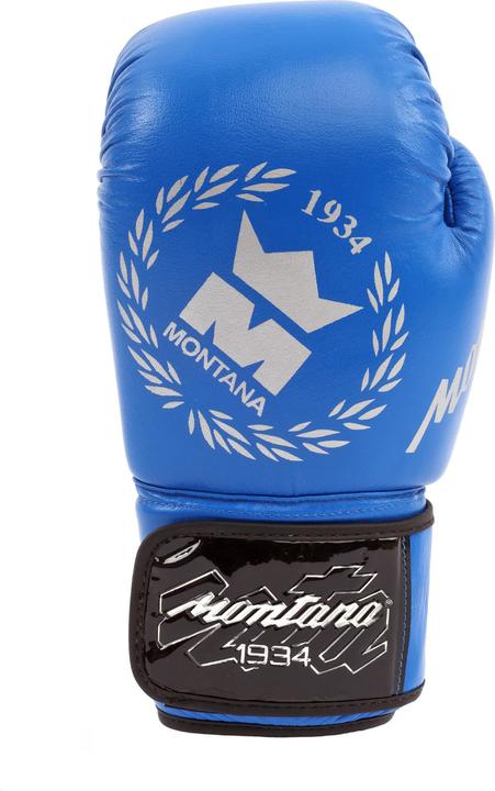 Actual product image Montana boxing gloves 34 st (10 OZ, 10)