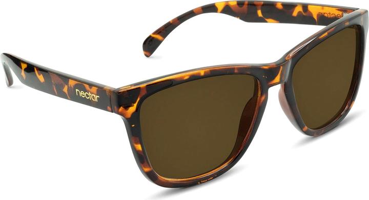 Glossy Brown Tortoise