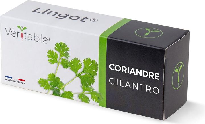 Produktbild Véritable Bio-Koriander (Kräutersamen)
