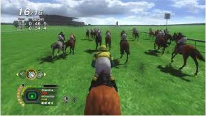 Actual product image FunBox Media My Riding Stables : Life with Horses (PS4)