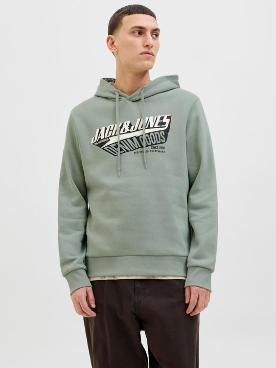 Actual product image Jack & Jones JJELOGO SWEAT HOOD 2 COL 25/26 NOOS (M)