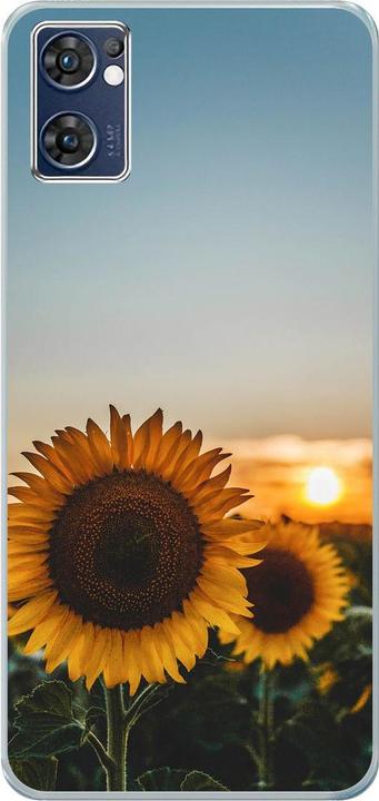 Sonnenblumen