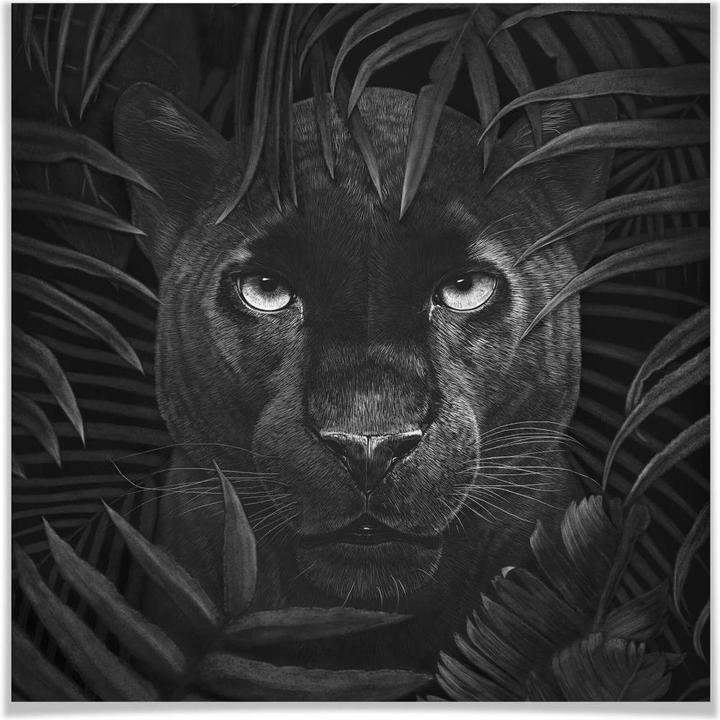 Produktbild Trenddeko Panther in jungle (50 x 50 cm)