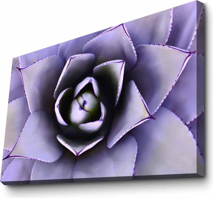 Produktbild Wallxpert Bria (45 x 70 cm)