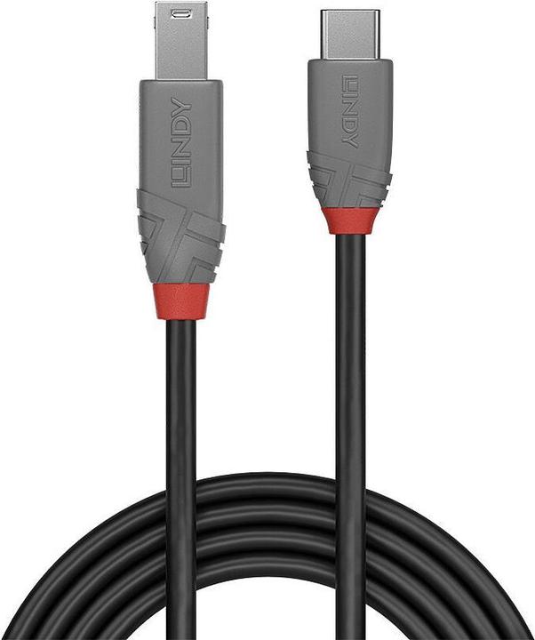 Image du produit Lindy Câble USB 3.2 type C vers B, Anthra Line (2 m, USB 3.2 Gen 1)