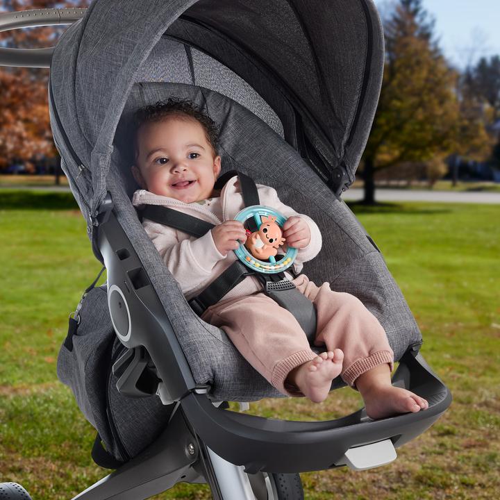 Actual product image Fisher-Price Shake & Spin Axolotl