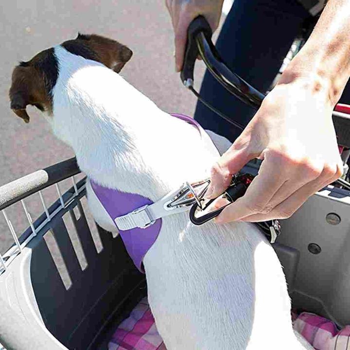 Produktbild Ferplast Atlas Bike 20 Rapid (Hund, Abschliessbar)