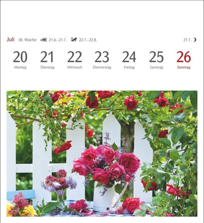 Produktbild Harenberg Blumenpracht Postkartenkalender 2026 - Wochenkalender mit 53 Postkarten (Deutsch)