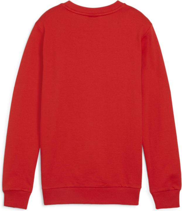 Actual product image Puma teamGOAL Casuals Crew Neck Sweat Jr (164)