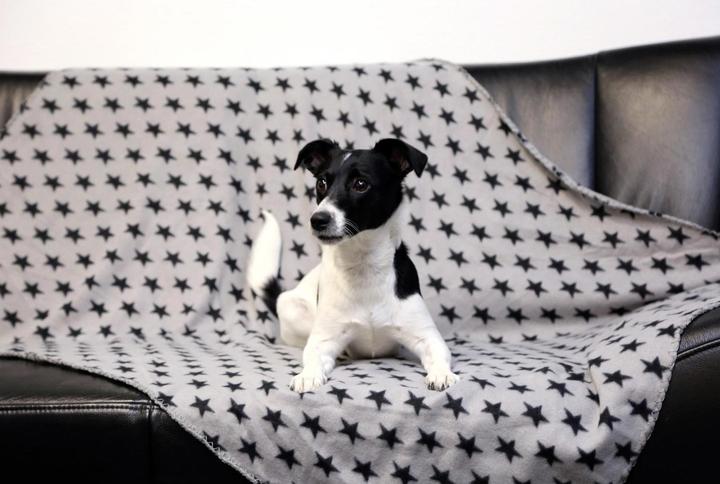 Actual product image Kerbl Stella (Cat, Dog)