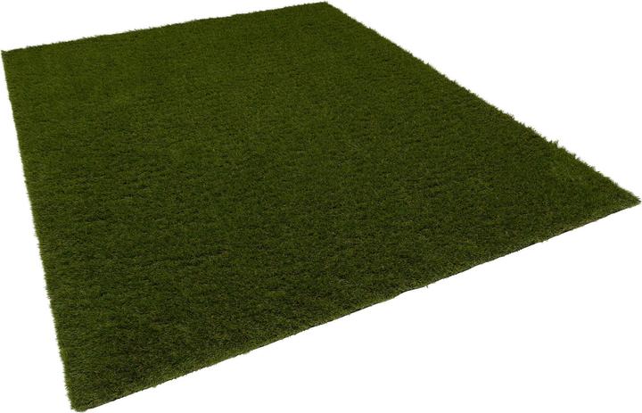 Actual product image Snapstyle Artificial turf Outdoor (200 x 400 cm)