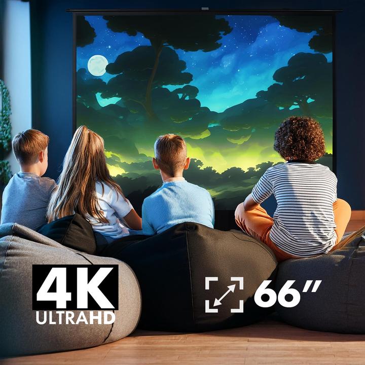 Actual product image Maclean Projection screen 66" portable MC-210 16:9 (66", 16:9)