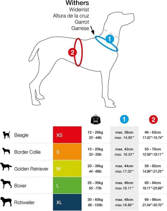 Image du produit Curli Harnais magnétique Belka Comfort (XL, Chien, Général, Promenade)
