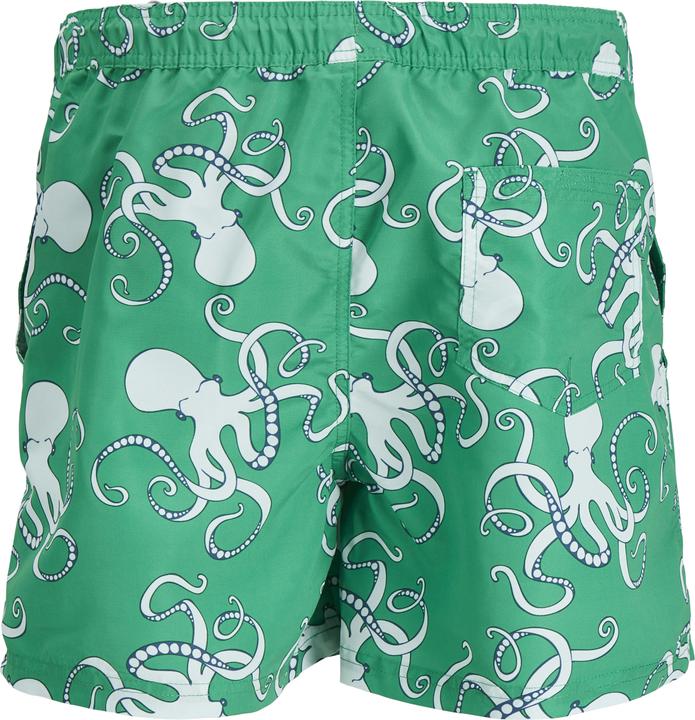 Image du produit Jack & Jones Regular Fit Regular Fit Maillots de bain Regular Fit Maillots de bain (M)