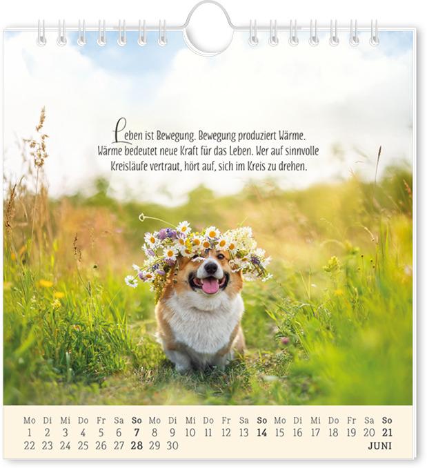 Actual product image Postkartenkalender 2026 Lebenszeichen (16 x 17 cm, German)