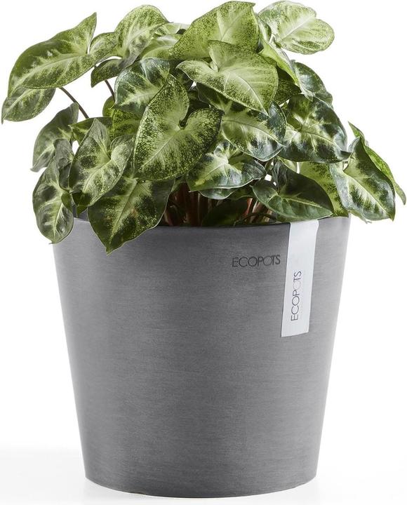 Image du produit Ecopots Amsterdam (30 cm)