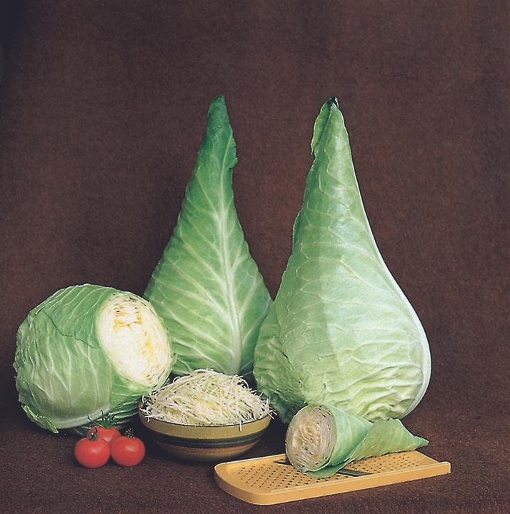 Produktbild Zollinger Bio Weisskohl, Filderkraut (Gemüsesamen)