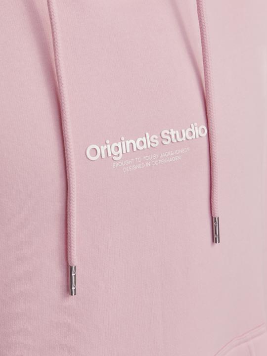 Image du produit Jack & Jones Jorvesterbro Sweat Hood Noos (XXL)