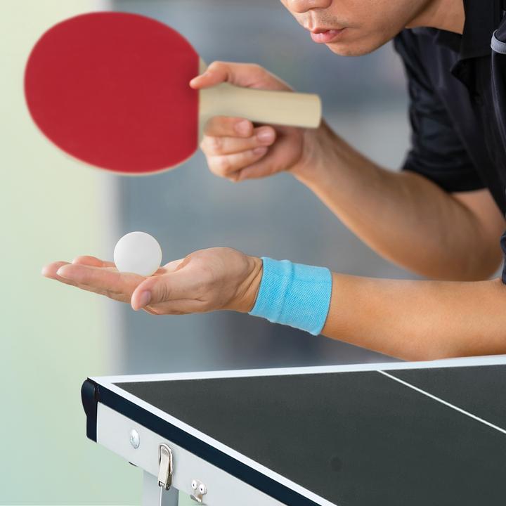 Actual product image Relaxdays Table tennis table