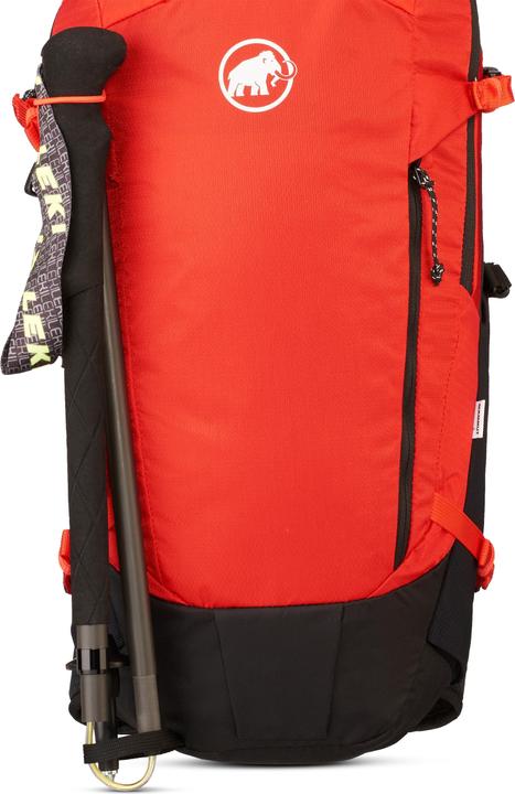 mammoth red, Black