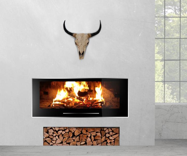 Produktbild JOHN316 Deko Schädel 45cm Stier