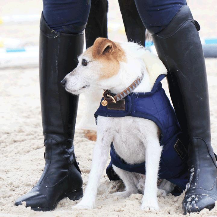 Produktbild Kentucky Dogwear Hundemantel 160g (S, Hundemantel)