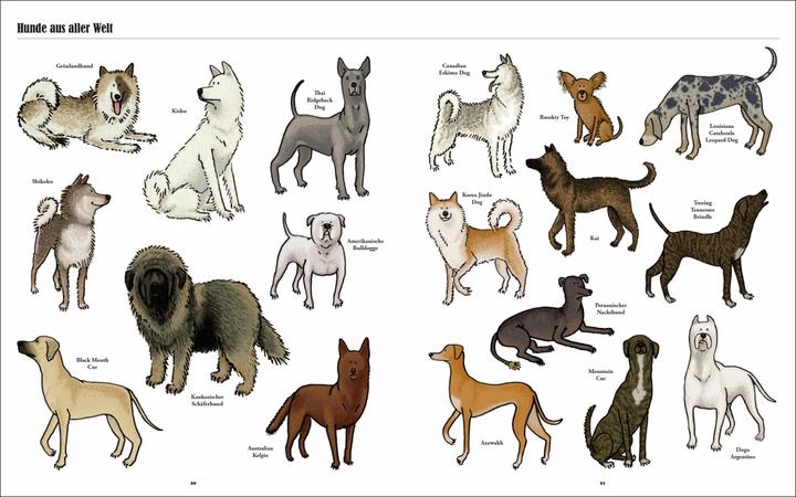 Produktbild Grosse Hunde, kleine Hunde (Deutsch, Jim Medway, Mark Fletcher, 2017)