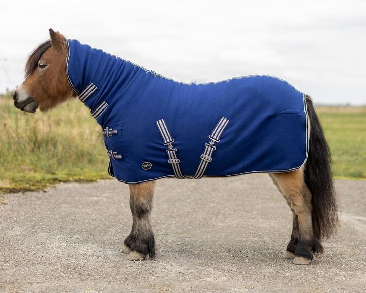 Produktbild Qhp Fleecedecke für Shetlands mit Halsabdeckung