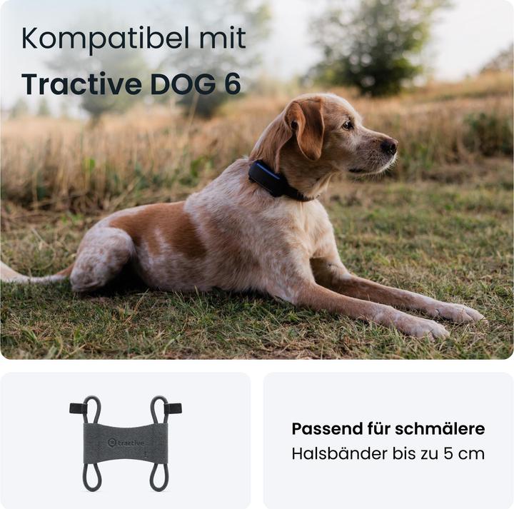 Immagine prodotto Tractive GPS Dog 6 - Clip per tessuti (S, Cane, Sport cane)