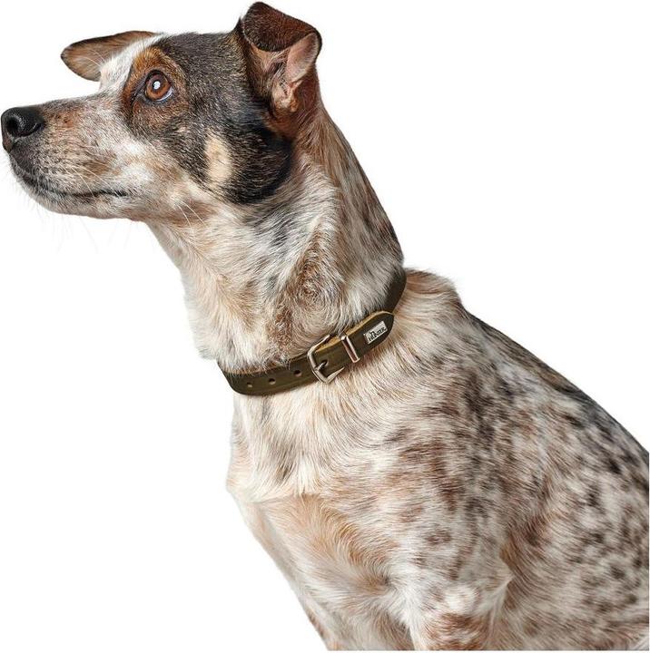 Actual product image Hunter Collar Aalborg (28, 29, 30, 31, 32, 33, Dog, Dog sport)