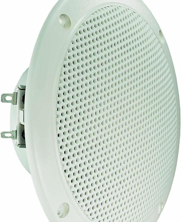 Visaton Full range loudspeaker FR 13 WP