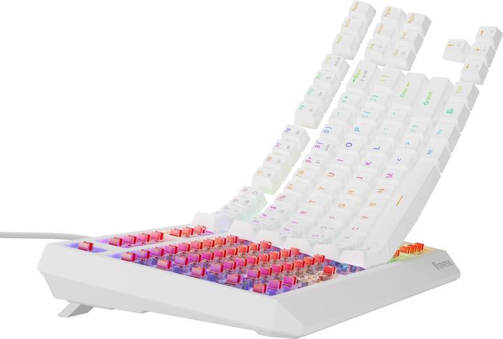 Actual product image Genesis herní klávesnice THOR 230/TKL/RGB/Outemu Red/Bezdrátová USB + Bluetooth/US layout/Bílá (US, Cable, Wireless)