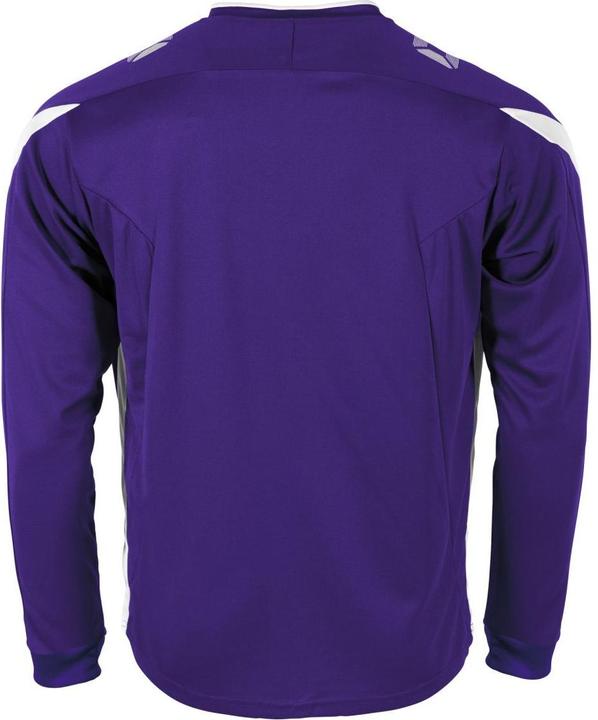 Image du produit Stanno Drive Match Maillot Ls (L)