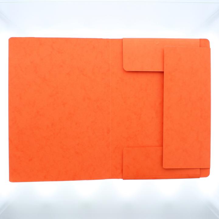Actual product image Pagna Rubber band folder (A4, 1 x)