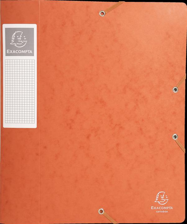 Immagine prodotto Exacompta Archivboxen (A4)