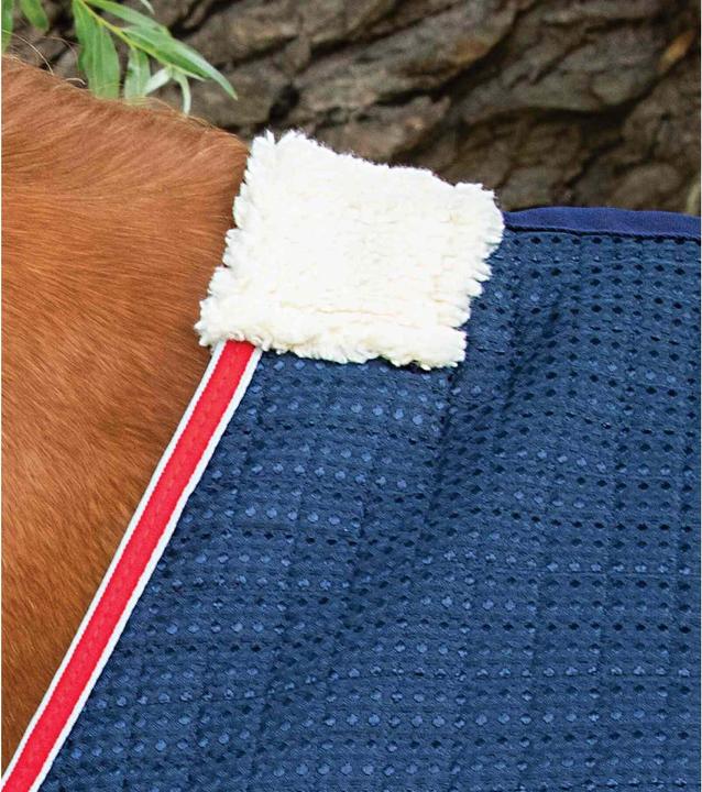 Produktbild Premier Equine führanlagendecke walker 0 g (191 cm)