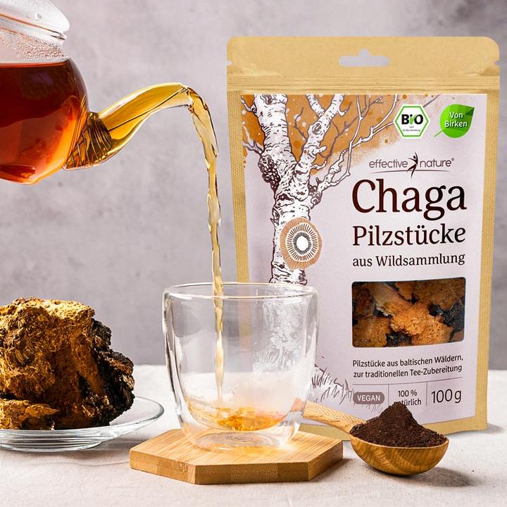 Produktbild Effective Nature Bio Chaga Pilz aus Wildsammlung (100 g)