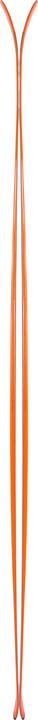 Immagine prodotto Black Crows Sci Vastus Freebird 2021 (163 cm, Senza rilegatura)