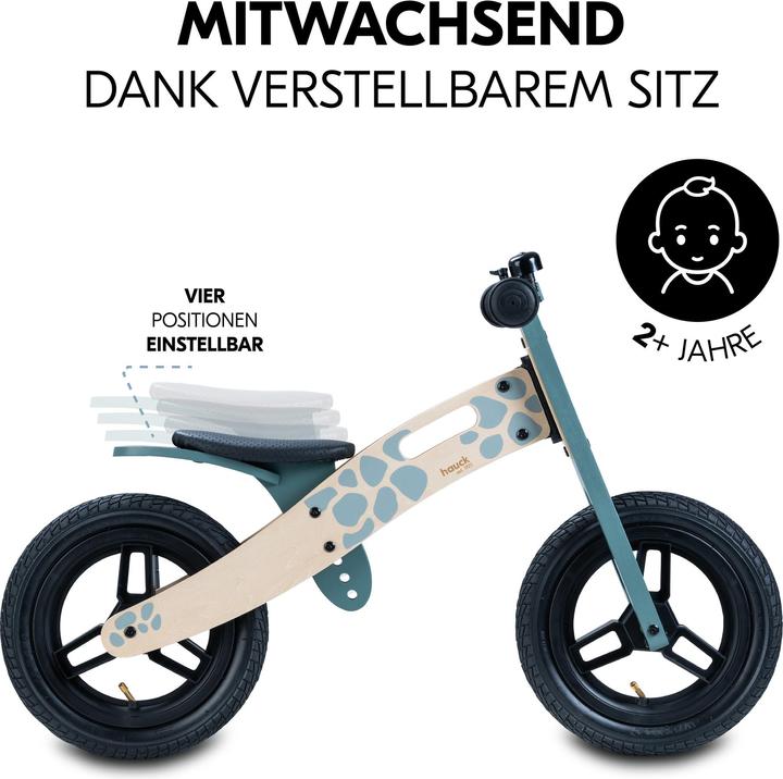 Produktbild Hauck Balance N Ride (12")