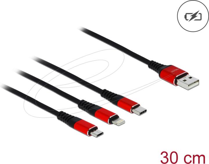 Delock USB 2.0-Kabel 3-in-1 (0.30 m, USB 2.0, 5 W)