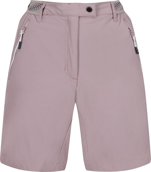 Regatta Mountain II Shorts