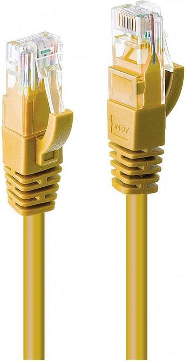 Produktbild Lindy Netzwerkkabel (U/UTP, CAT6, 20 m)