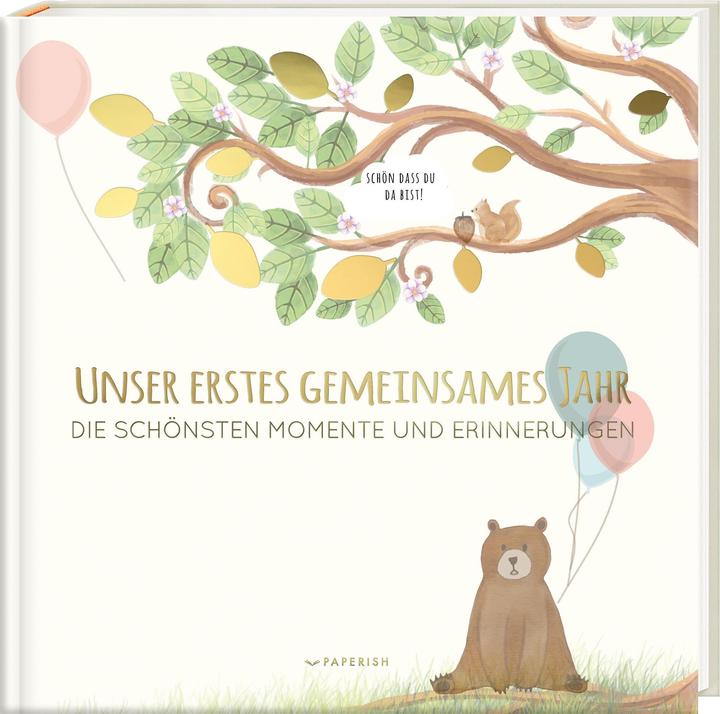 Produktbild Babyalbum - UNSER ERSTES GEMEINSAMES JAHR (Deutsch, Pia Loewe, 2017)