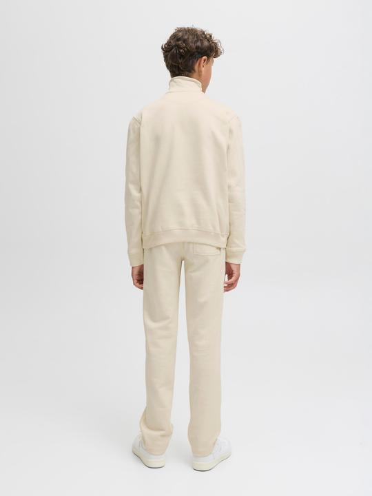 Actual product image Jack & Jones Jornorrebro Emb Sweat High Neck Jnr (128)