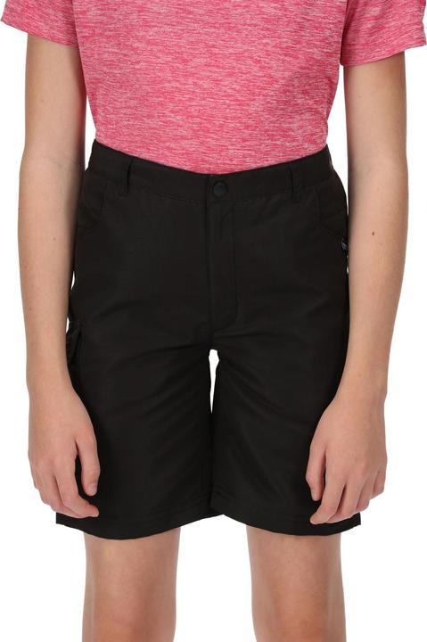 Actual product image Regatta Sorcer II Shorts (104)