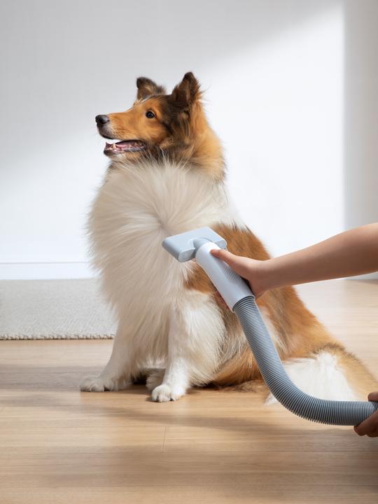 Produktbild HomeRunPet Haustierföhn PD10 (Hund)